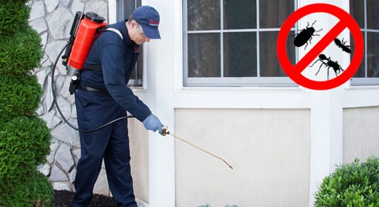 Boğazlıyan Tahtakurusu İlaçlama böcek ilaçlama ve haşere kontrolü — ilaclama-tr.com